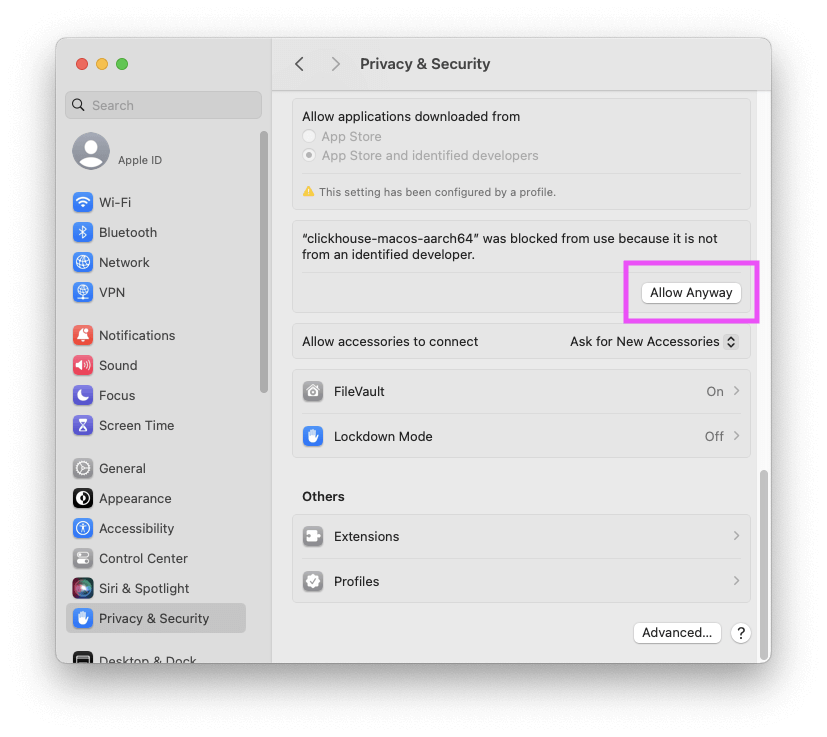 Настройки Privacy & Security в macOS с кнопкой Allow Anyway
